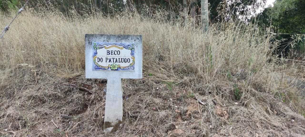 Beco Do Patalugo Leilighet Salir de Matos Eksteriør bilde